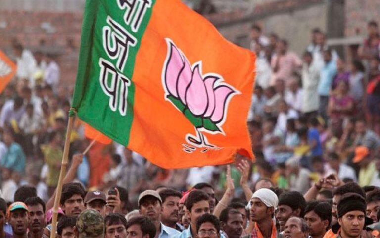 भारतीय जनता पार्टी के निशान का झंडा