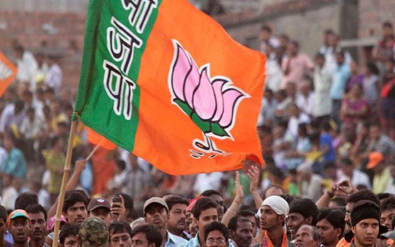 भारतीय जनता पार्टी के निशान का झंडा