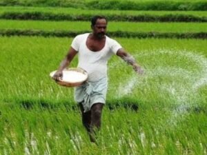 farmer.
