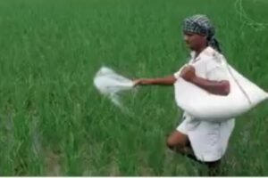 farmer.