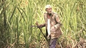 farmer...